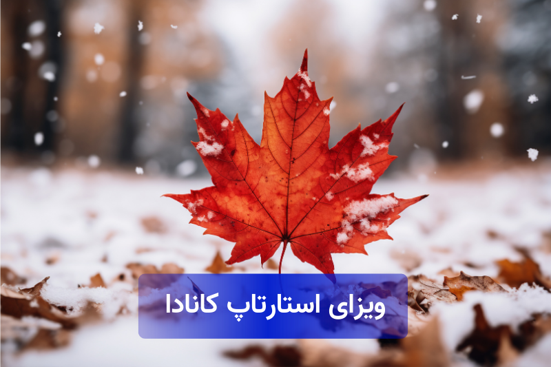 استارتاپ ویزای کانادا