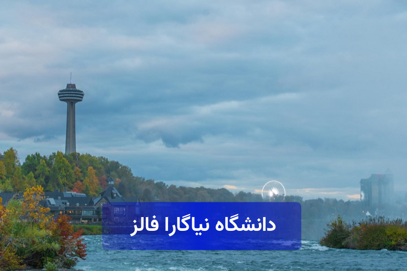 دانشگاه نیاگارا فالز